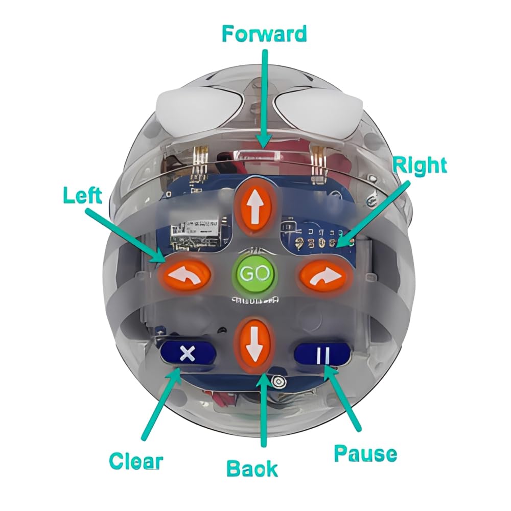 See & Say Blue-Bot Beginner Coding Robot for Kids