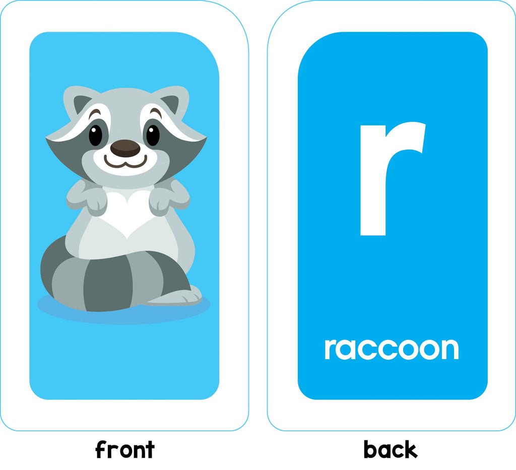 School Zone Alphabet & Phonics Flash Cards for Ages 3+