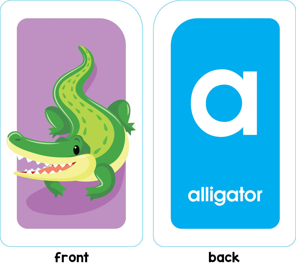 School Zone Alphabet & Phonics Flash Cards for Ages 3+