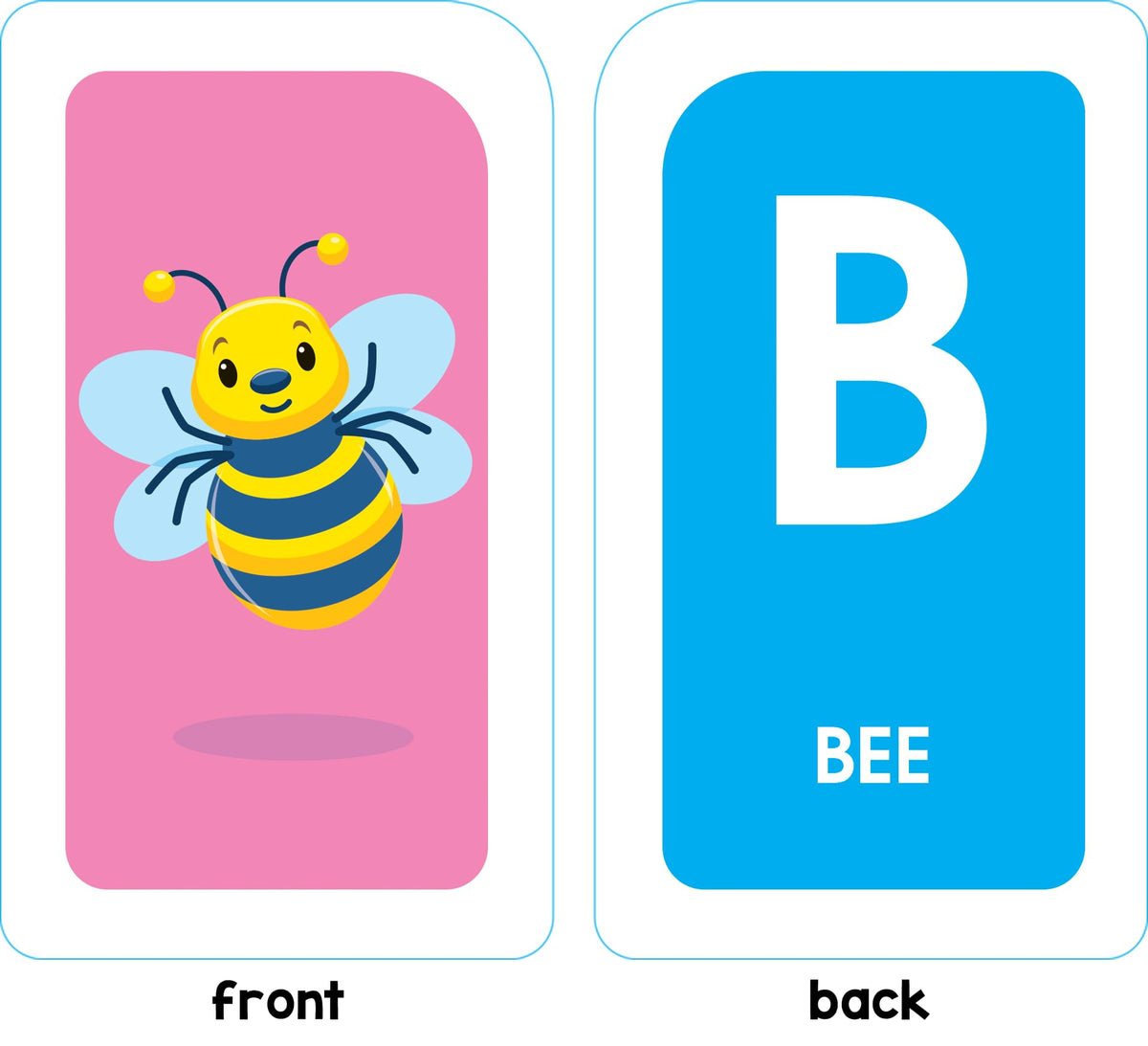 School Zone Alphabet & Phonics Flash Cards for Ages 3+